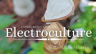 Experimenting with Electroculture: an electrifying forgotten science revived #electroculture #garden