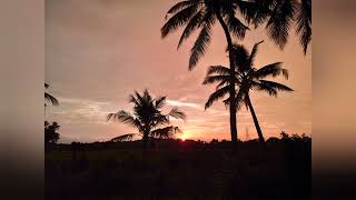Golden Sunset Over West Kallada Fields | Peaceful Kerala Evening in 4K screenshot 3