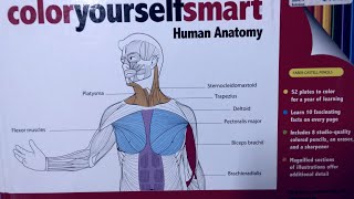 Kids Best Colouring Book of Human Body - Color Yourself Smart Human Anatomy - Review @RyansWorld