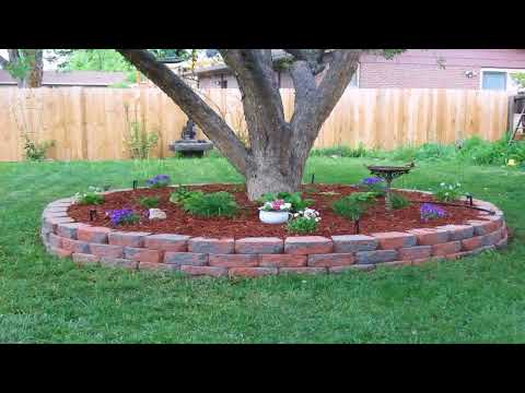 landscape-design-with-pine-trees