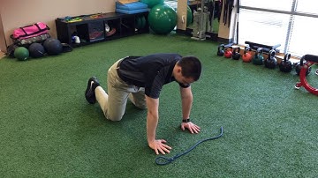 Quadruped reach throughs