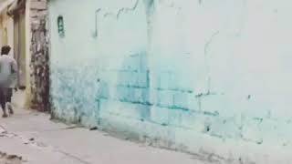 Pepuk Kısa Bir Kesit Canda Berfin