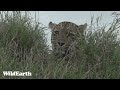 WildEarth - Sunrise  Safari - 27 May 2022