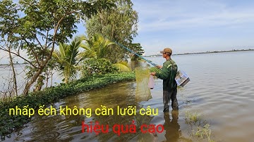 chia sẻ bày mồi nhấp ếch, không cần lưỡi câu  mùa nước hiệu quả cao dễ dàng bắt được ếch đồng 