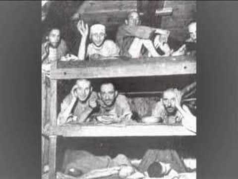 Never Again Wu-Tang killa Bees