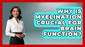 Why Is Myelination Crucial For Brain Function? - Brain Development Hub