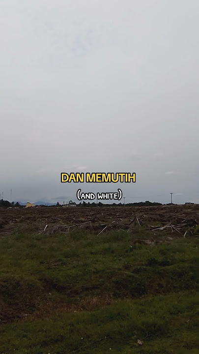 CINTAKU TAKKAN BERUBAH - DEDDY DORES #bankahn #shorts