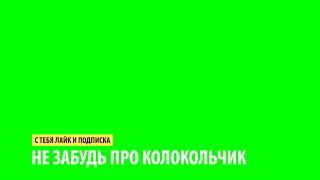 ПОДПИСКА,КОЛОКОЛЬЧИК ФУТАЖ НА ЗЕЛЁНОМ ФОНЕ