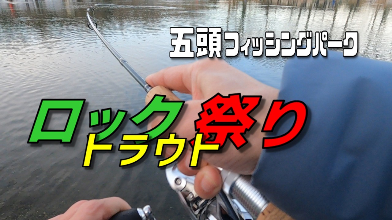 【五頭フィッシングパーク】中大型のロックトラウト放流！ロック祭り #五頭FP #gozuFP #ロックトラウト #ロック祭り