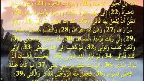 Sultan El Rokan   20 40   تلاوة رائعة   سلطان الروكان   القيامة  (Rd1) (Rd1) (reedo mohammed)