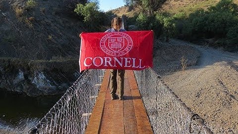 Bridges to Prosperity 2018