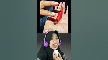 PENEMUAN SEEKOR HEWAN TERANEH DI DUNIA | Cerita Elpida #shortvideo #viralvideo #trending #shorts