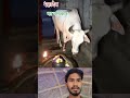 महादेव का चमत्कार हर हर महादेव #shortvideo #viral #youtubeshorts #automobile