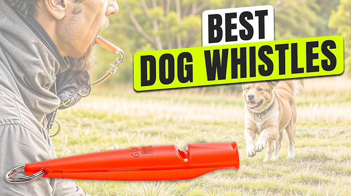 3 BEST Dog Whistles - Your Dog’s Listening… Are You Using the Right One?
