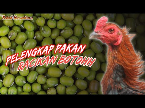 Video: Fillet Ayam Dengan Kacang Hijau