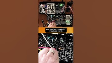 Tame that Chaos with Sinc Pravus | Noise Engineering #modularsynth