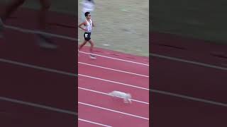 A cat embarrasses the competition when it crashed a track meet Shorts