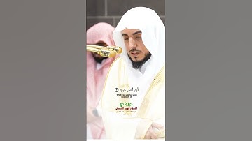 سورة الشرح_تلاوة مرئية عذبة من صلاة المغرب 10 شعبان 1446هـ_فضيلة الشيخ الوليد الشمسان_#quran