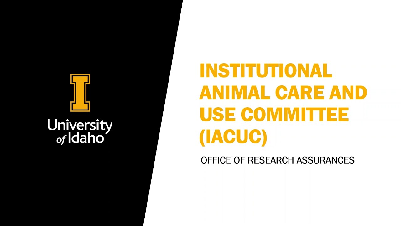 IACUC Overview