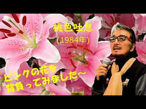 「桃色吐息」 字幕付きカバー 1984年 康珍化作詞 佐藤隆作曲 高橋真梨子 若林ケン 昭和歌謡シアター　～たまに平成の歌～