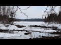 The quest for koskikara, wildlife watching in Finland.