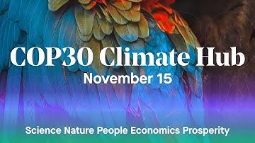 COP 30 - November 15