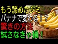 もう諦めたシミ｜バナナで変わる！？｜驚きの方法｜試さなきゃ損！