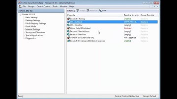 Internet Filtering in Fortres 101