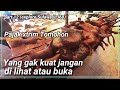 Pasar extrim di tomohon (sulawesi utara ) keliling indonesia