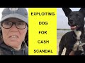 Carolyn&#39;s RV Life Exploits Her Dog For Cash &amp; BlackTurtle Show Video