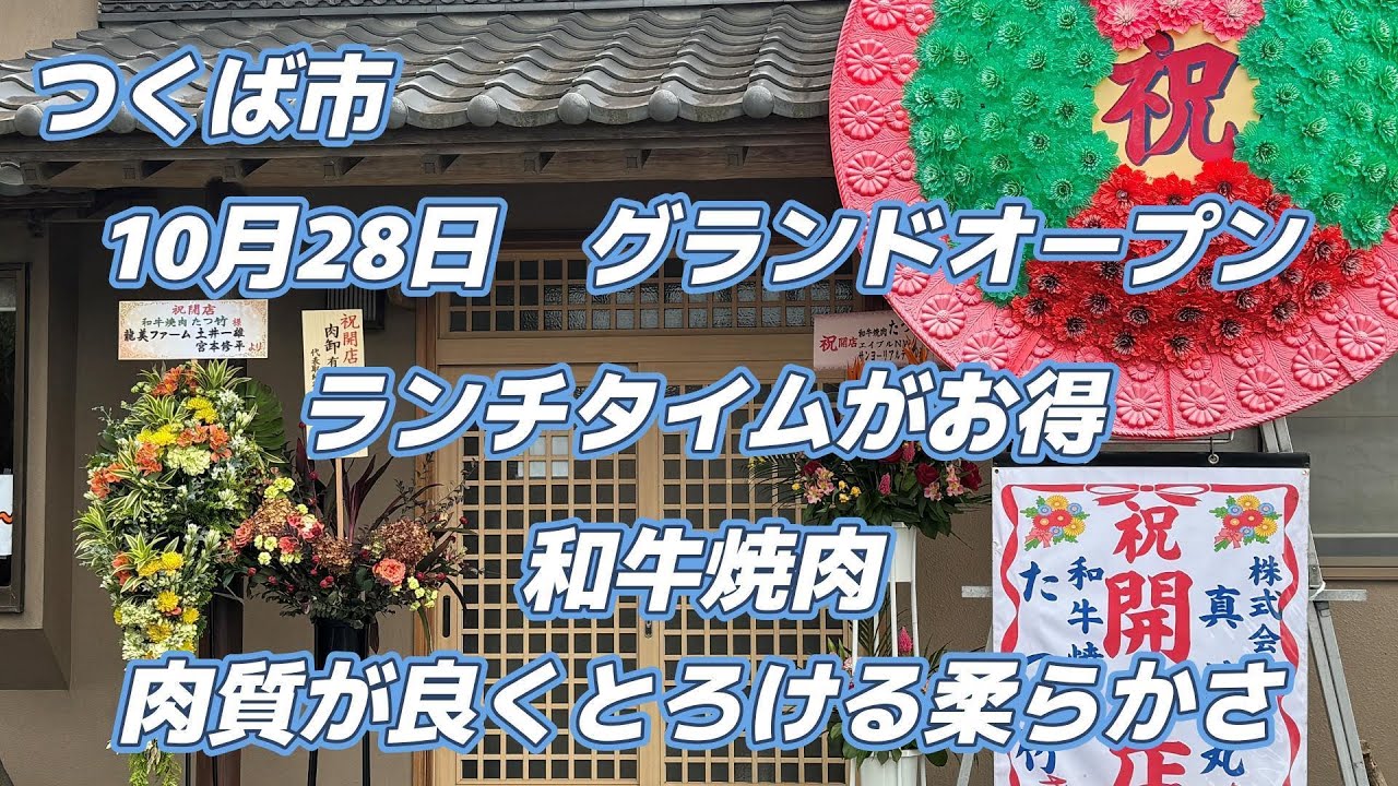 好みのメニューにランチセットを＋でお得