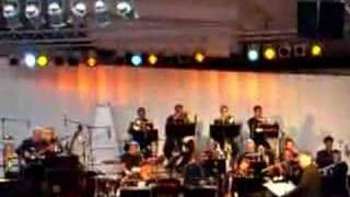 Stefan Gwildis &amp; NDR Big Band - Wem bringt das was