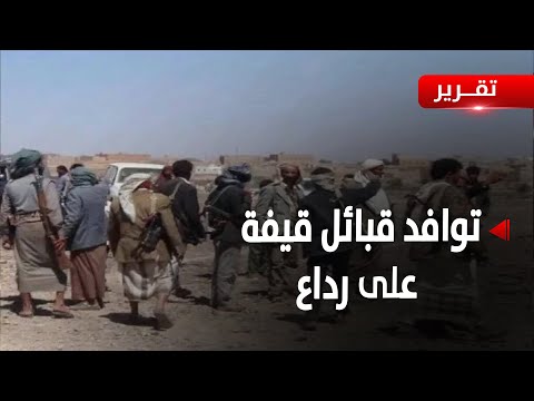 البيضاء توافد قبائل من قيفة على رداع بعد انتهاء المهلة التي منحوها لميليشيا الح وثي