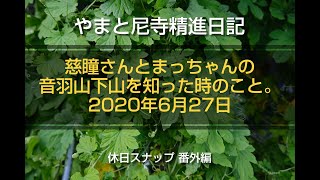 やまと尼寺精進日記 慈瞳さんとまっちゃんの音羽山下山を知った時のこと。2020年6月27日