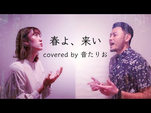 【男女で歌う】春よ、来い covered by 音たりお