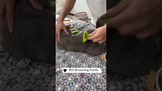 Pet Grooming Comb, Link is on bio #cat #petkit #petsupplies