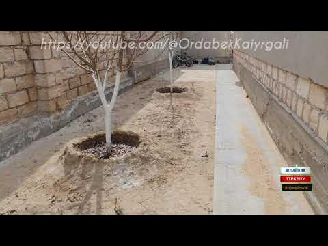 Бір топ балапанды оның барлық тесігіне ол жылағанша трахает