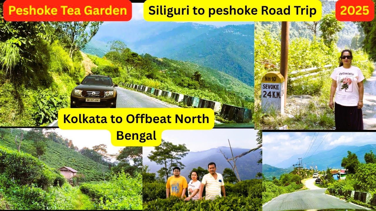 Peshok Tea Garden//Siliguri to Peshoke Road Trip 2025/Offbeat North Bengal Tour //Day-2/Peshok Tour