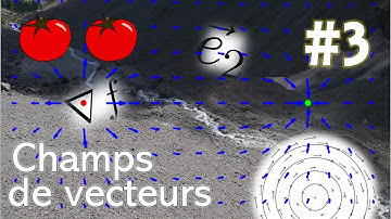 Thomaths 3 : Champs de Vecteurs (calcul différentiel 1)