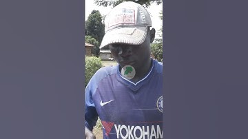 Weaving My Local Style Bee Hive To Attract Bees #honey #bee #beekeeping