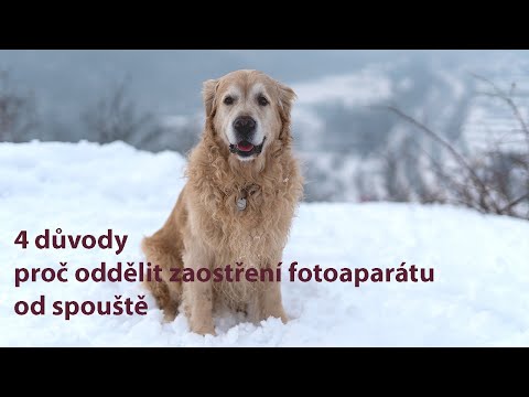 Video: Jak Doma Odvápnit žehličku Různými Způsoby + Video A Fotografie