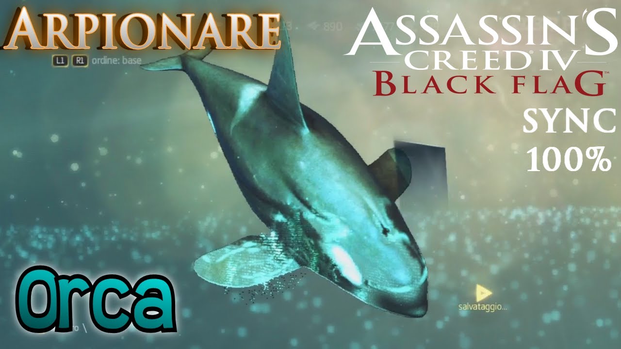 Assassin's Creed 4: Black Flag (ITA)- Arpionare- Orca - YouTube