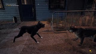 Far Cry® 5 Peaches and a dog
