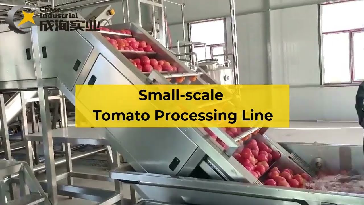 China Middle scale Tomato Paste Processing Line
