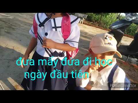Txog caij kawm
