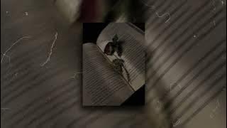 Rachel Zegler - The Ballad of Lucy Gray Baird (slowed reverb)