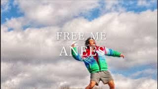 [君にはもう縛られないよ 不健康な恋愛の終わり] 'Free me' by anees / 洋楽和訳
