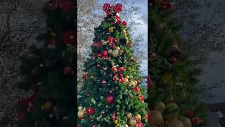 Disney Springs Christmas Tree Stroll #gingermmt #disney #disneysprings