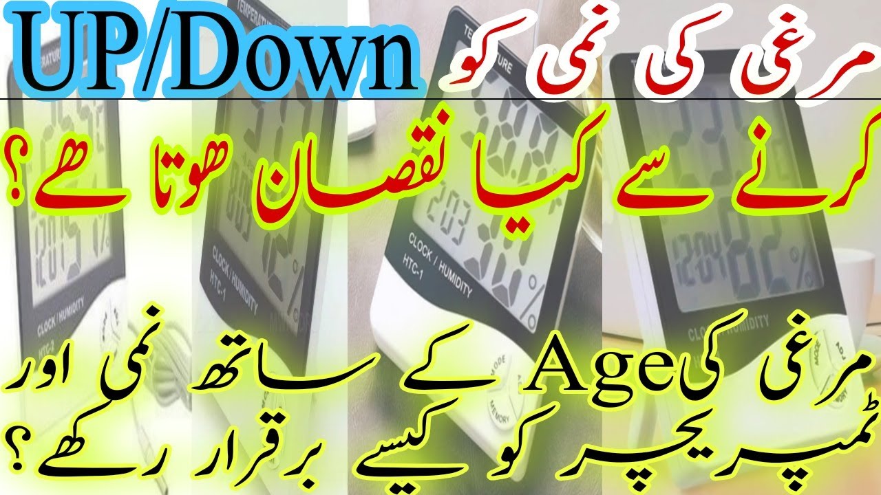 How to Control Poultry Humidity and Temperature|🔥🔥🔥(Urdu/Hindi)🔥🔥🔥