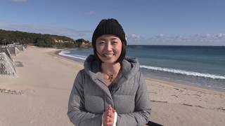 志摩ひじき編（2分）